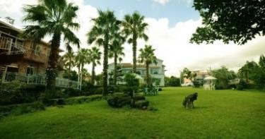 중문에코펜션 썸네일4